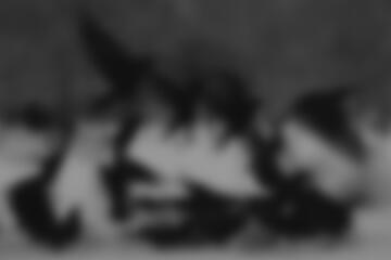 INFORMACIÓN IMPORTANTE